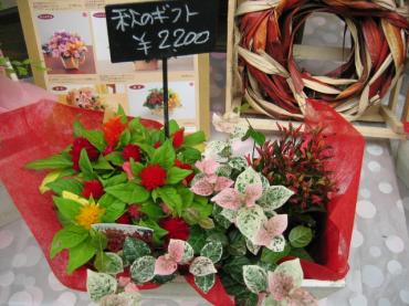敬老の日｜「フローリストちんかえん」　（兵庫県神戸市中央区の花キューピット加盟店 花屋）のブログ