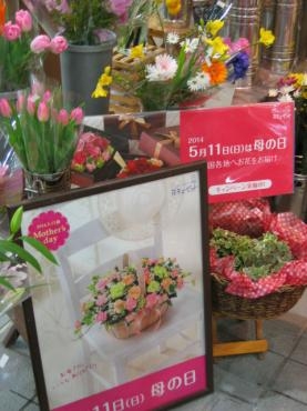 「母の日キャンペーン」　スタートです！！｜「フローリストちんかえん」　（兵庫県神戸市中央区の花キューピット加盟店 花屋）のブログ