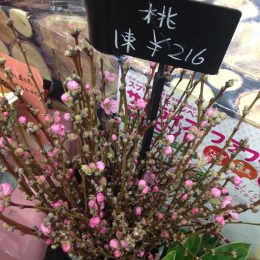 お花をあげましょ♪　桃のはな～♪♪｜「フローリストちんかえん」　（兵庫県神戸市中央区の花キューピット加盟店 花屋）のブログ