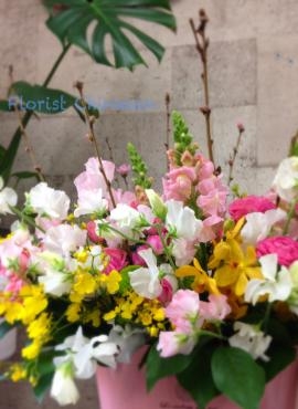 おひな祭りギフト｜「フローリストちんかえん」　（兵庫県神戸市中央区の花キューピット加盟店 花屋）のブログ