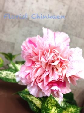 お気に入りの花たち｜「フローリストちんかえん」　（兵庫県神戸市中央区の花キューピット加盟店 花屋）のブログ