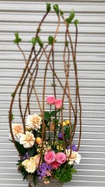 ケーキ屋さんの開店祝い「フローリストちんかえん」（兵庫県神戸市中央区の花屋）のギャラリー写真