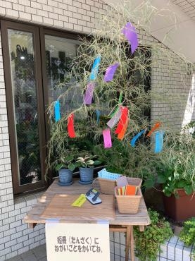 七夕の子供たち|「フローリストちんかえん」　（兵庫県神戸市中央区の花屋）のブログ